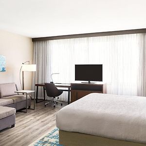 King Studio Sofa Bed Hearing Accessible